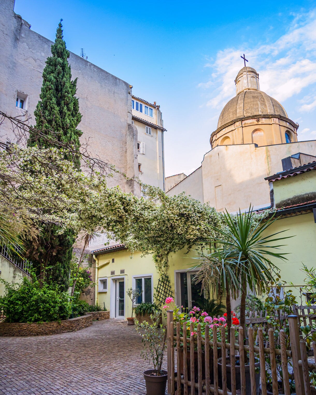 Quiet courtyard in Toulon with flowering vines, a tall cypress tree, yellow buildings, potted plants and the rounded dome of Notre-Dame-de-la-Seds rising above the surrounding walls.