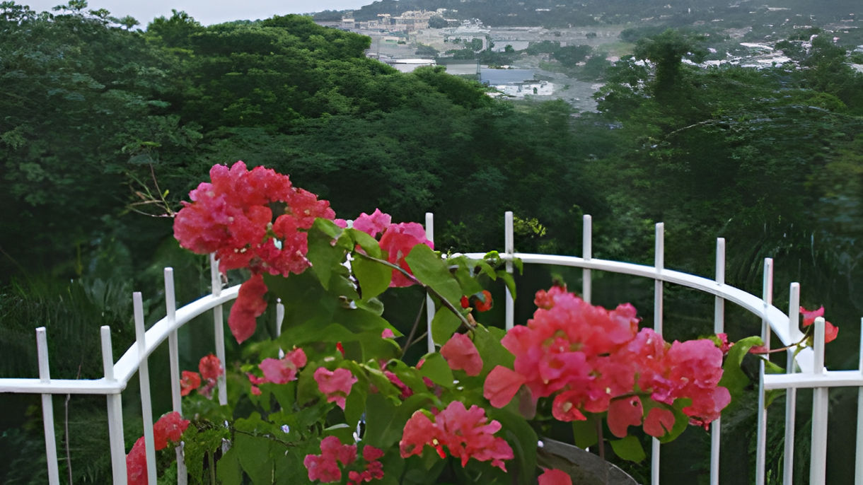 Best of Ocho Rios: Dunn's River Falls, Scenic Drive & Shopping