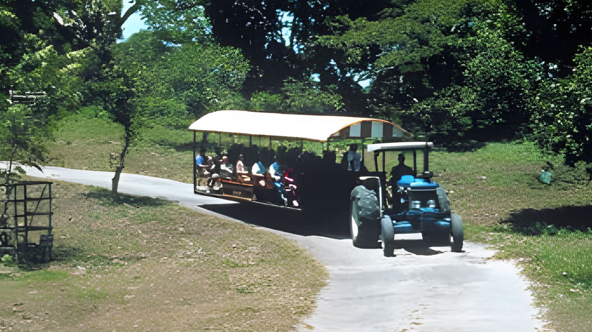 Open-Air Plantation Ride & Dunn's River Falls