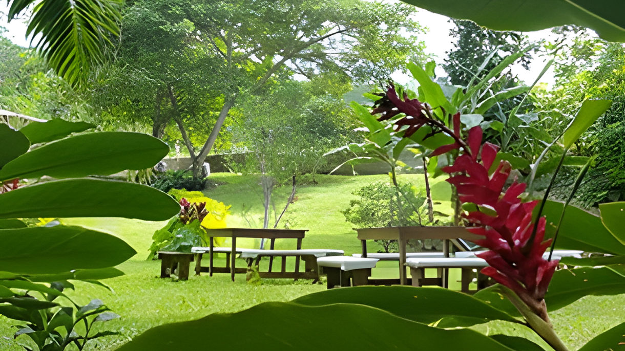 Dunn's River Falls & Reggae Hill Experience