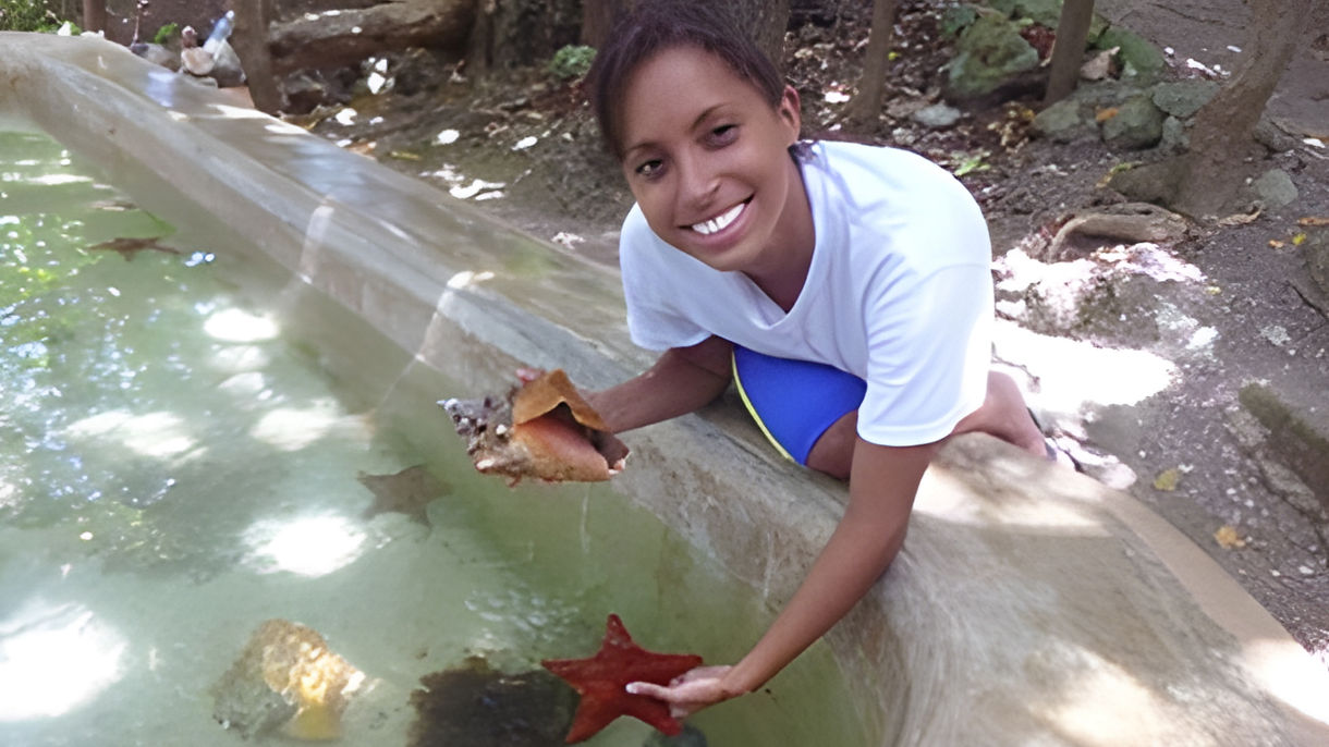 Dolphin Swim & Dunn's River Falls