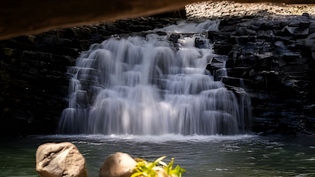 Pa'ia Town & Rainforest Walk