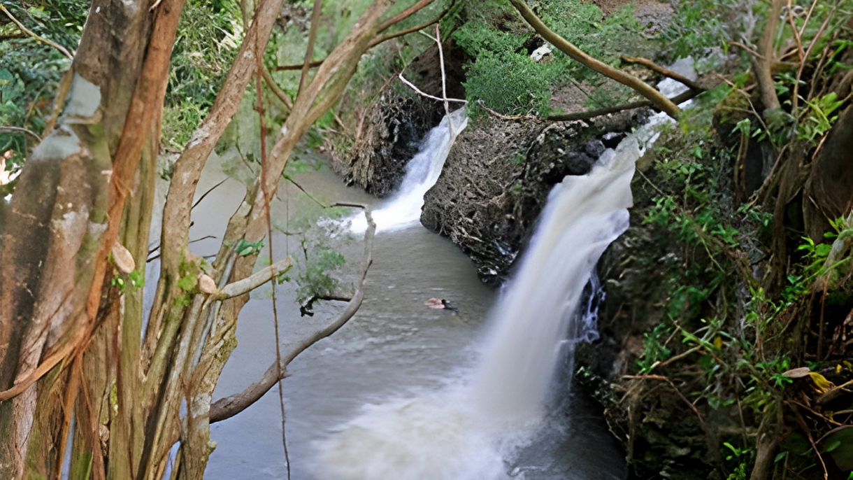 Maui's North Shore & Waterfall Nature Walk