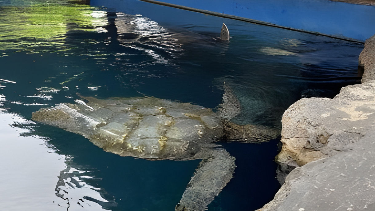 Maui Ocean Center