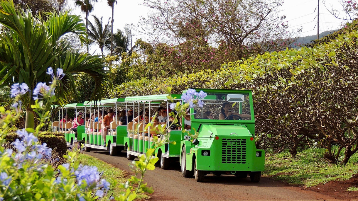 Iao Valley & Maui Tropical Plantation