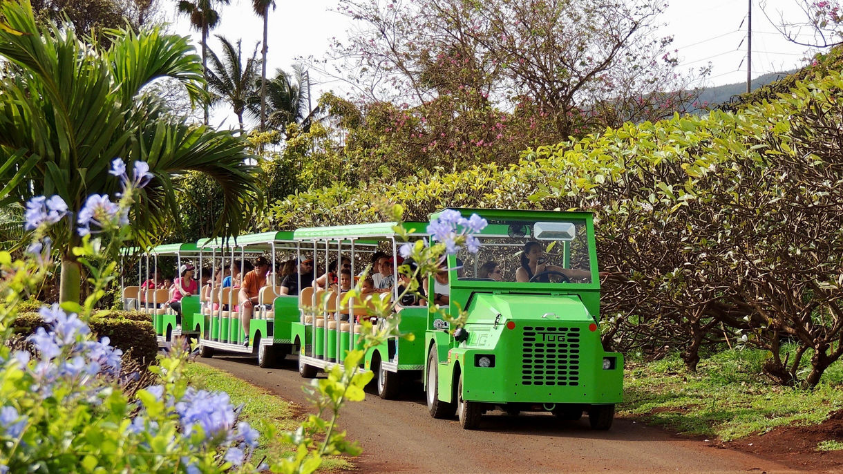 Iao Valley & Maui Tropical Plantation (Wheelchair Accessible)