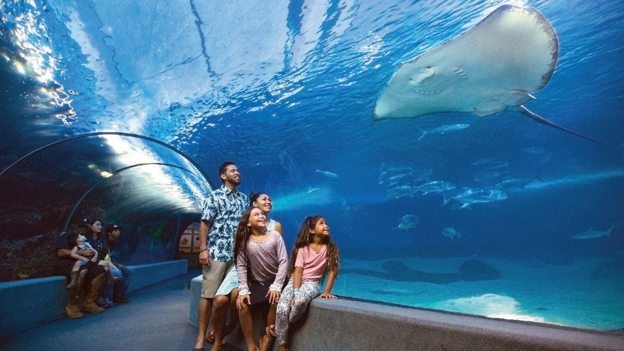 Easy Maui Tropical Plantation & Maui Ocean Center (Wheelchair Accessible)