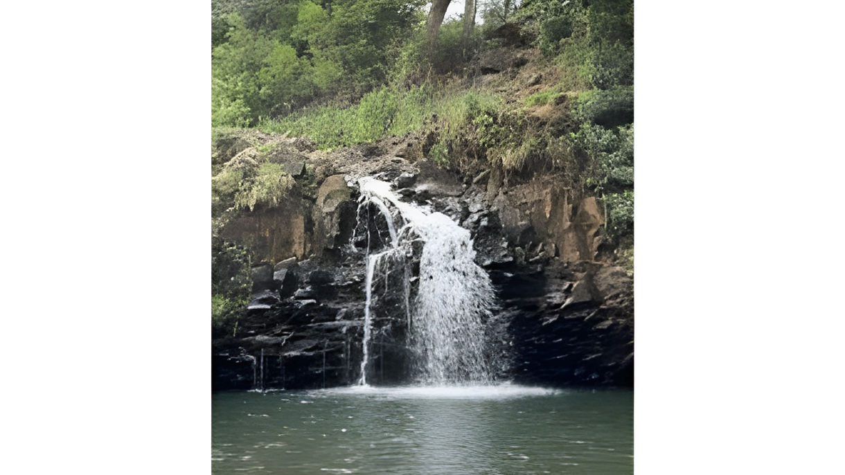 Waterfall Hike to Ho'olawa Valley