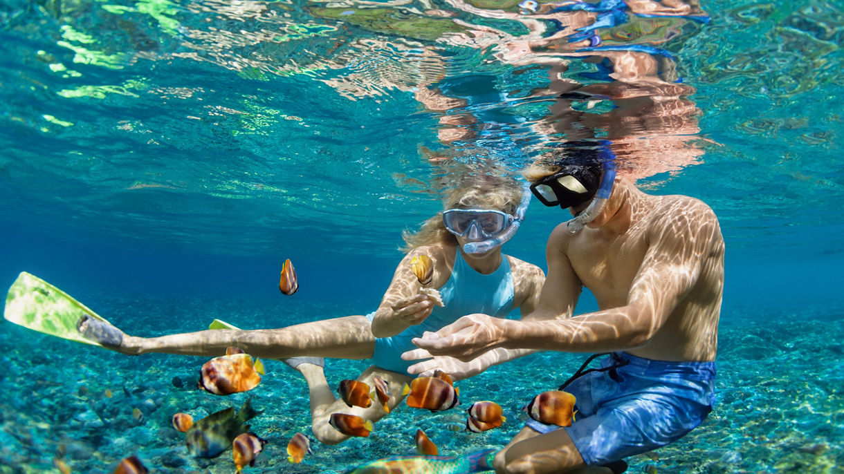 Ultimate Coral Gardens Snorkel Adventure