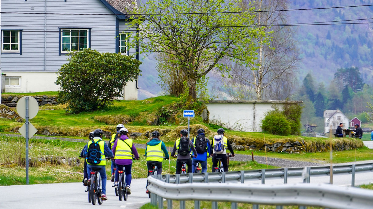 Guided E-Bike Ride in Olden