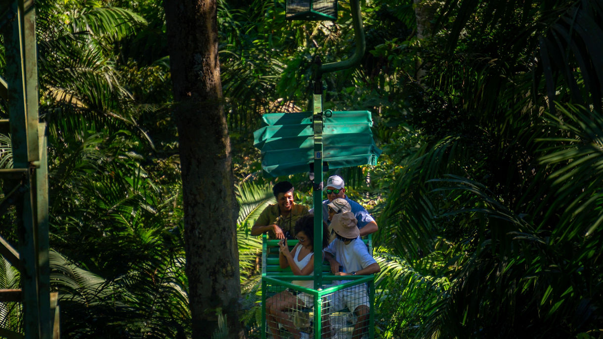 Panama's Rainforest Aerial Tram
