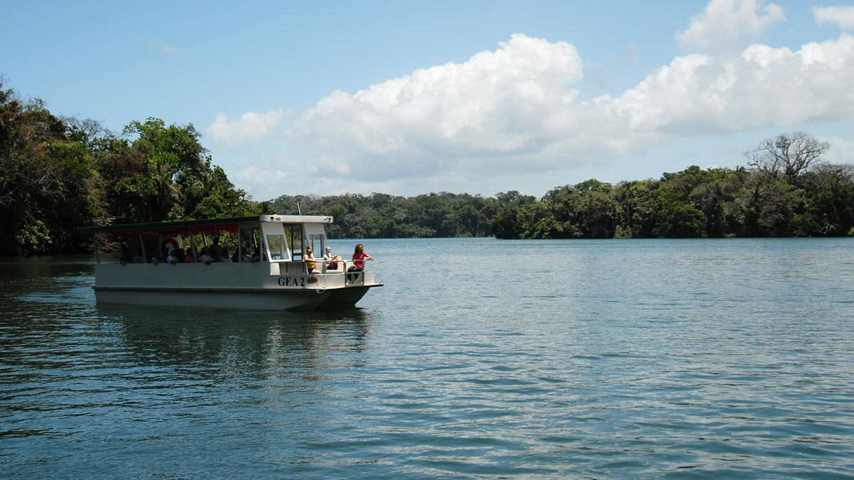 Rainforest & Gatun Lake and Locks Cruise