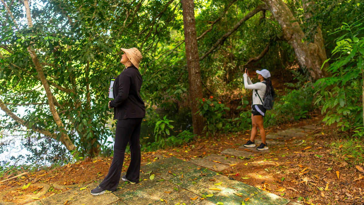 Rainforest & Gatun Lake and Locks Cruise
