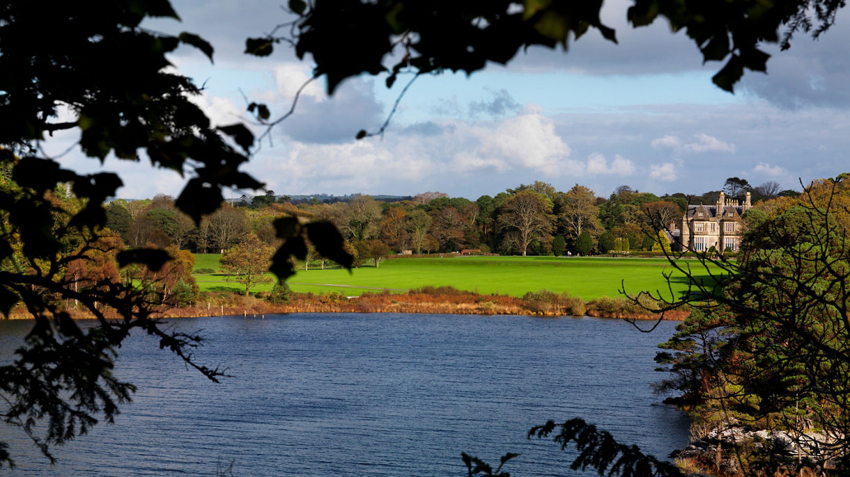 Scenic Killarney