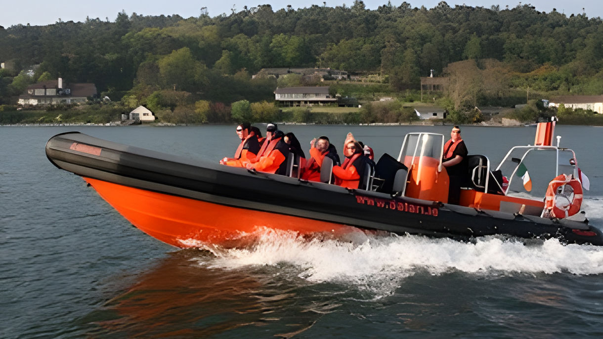Local Connections: Cork Harbour Sea Safari