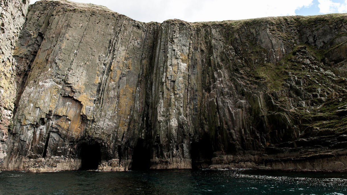 Local Connections: Cork Harbour Sea Safari