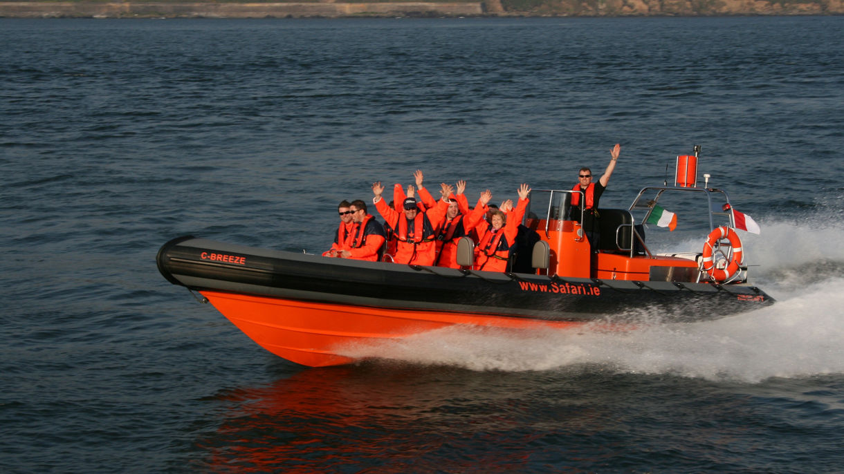 Local Connections: Cork Harbour Sea Safari