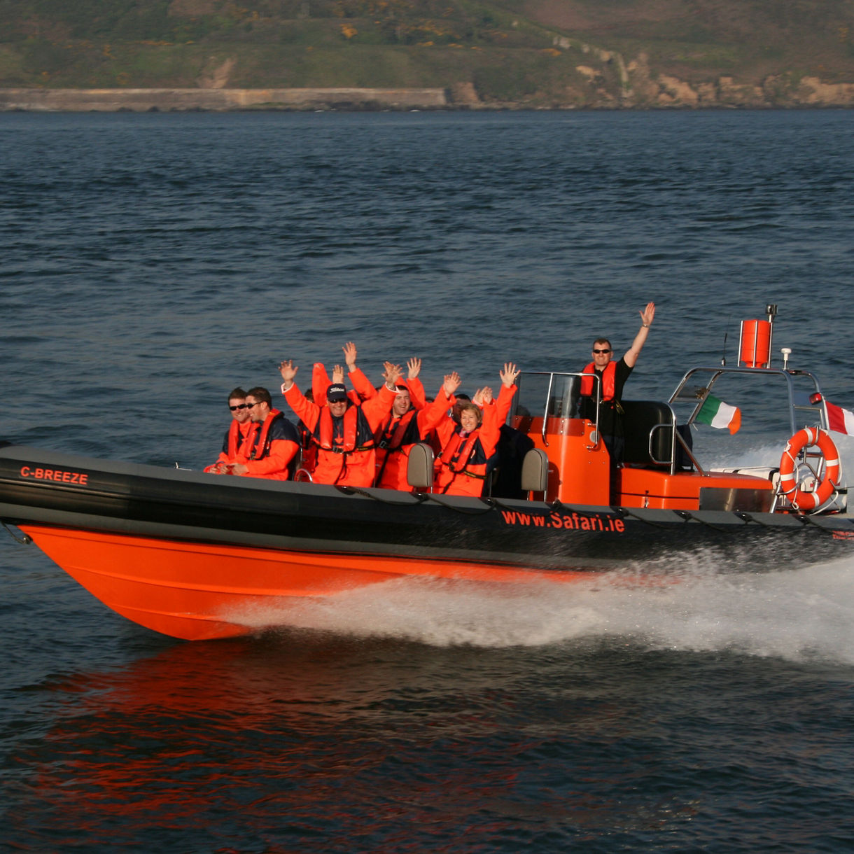 Local Connections: Cork Harbour Sea Safari