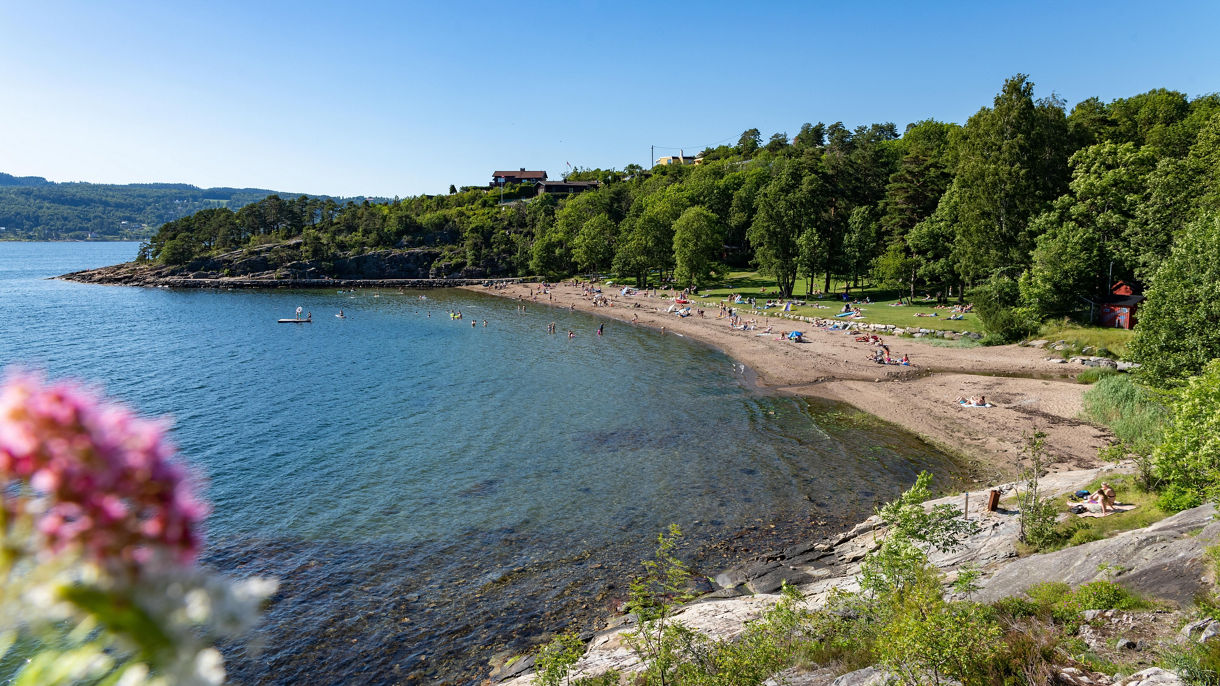 Discover the Charm of Drøbak: A Coastal Gem on the Oslofjord