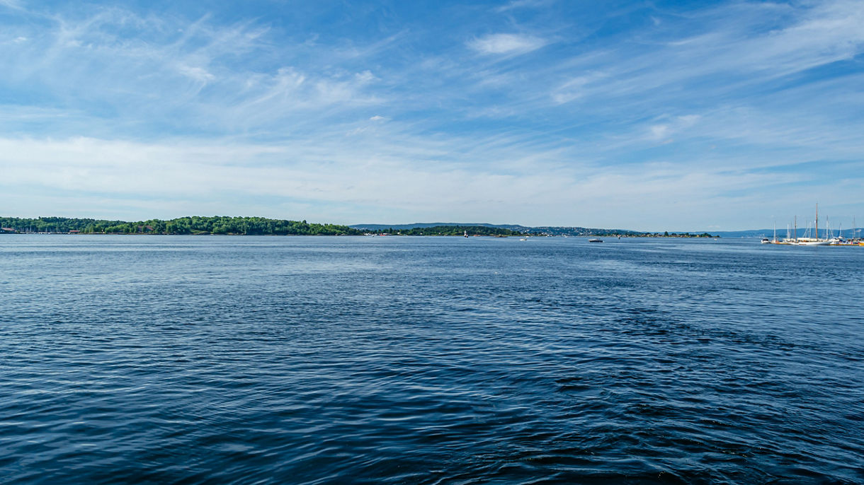 Sail, Shrimp & Sip in Oslofjord