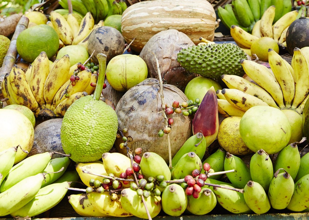 Colorful Caribbean dishes, including jerk chicken, seafood, and tropical fruits, on display at a buffet in Ocho Rios, Jamaica.