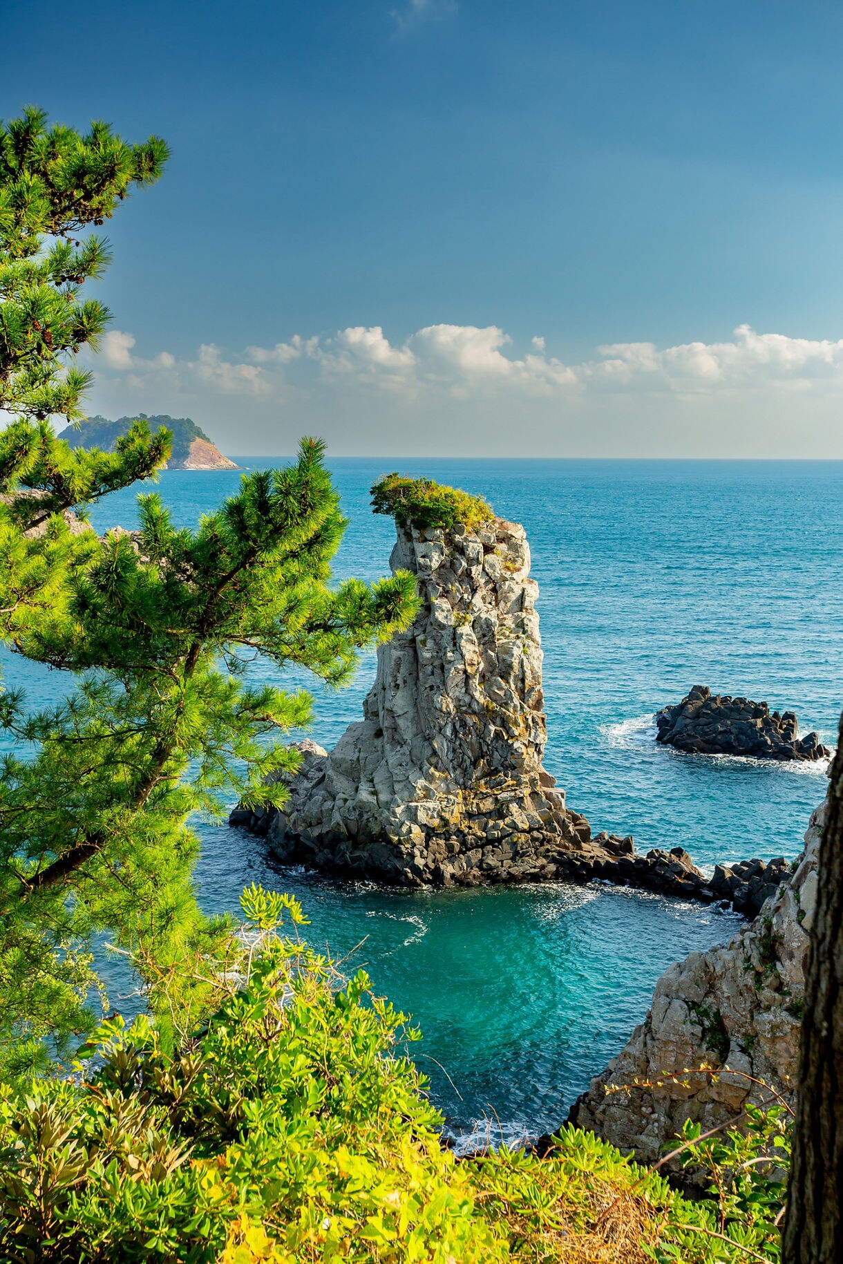Oedolgae Rock, a tall sea stack off the coast of Jeju Island, surrounded by bright blue water and framed by lush green foliage.