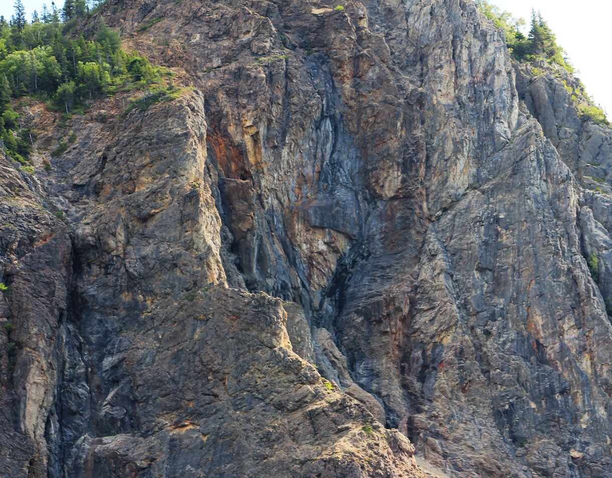 Close-up view of a steep rocky cliff in Gros Morne National Park with jagged formations, streaks of gray and rust-colored stone and patches of trees near the top.
