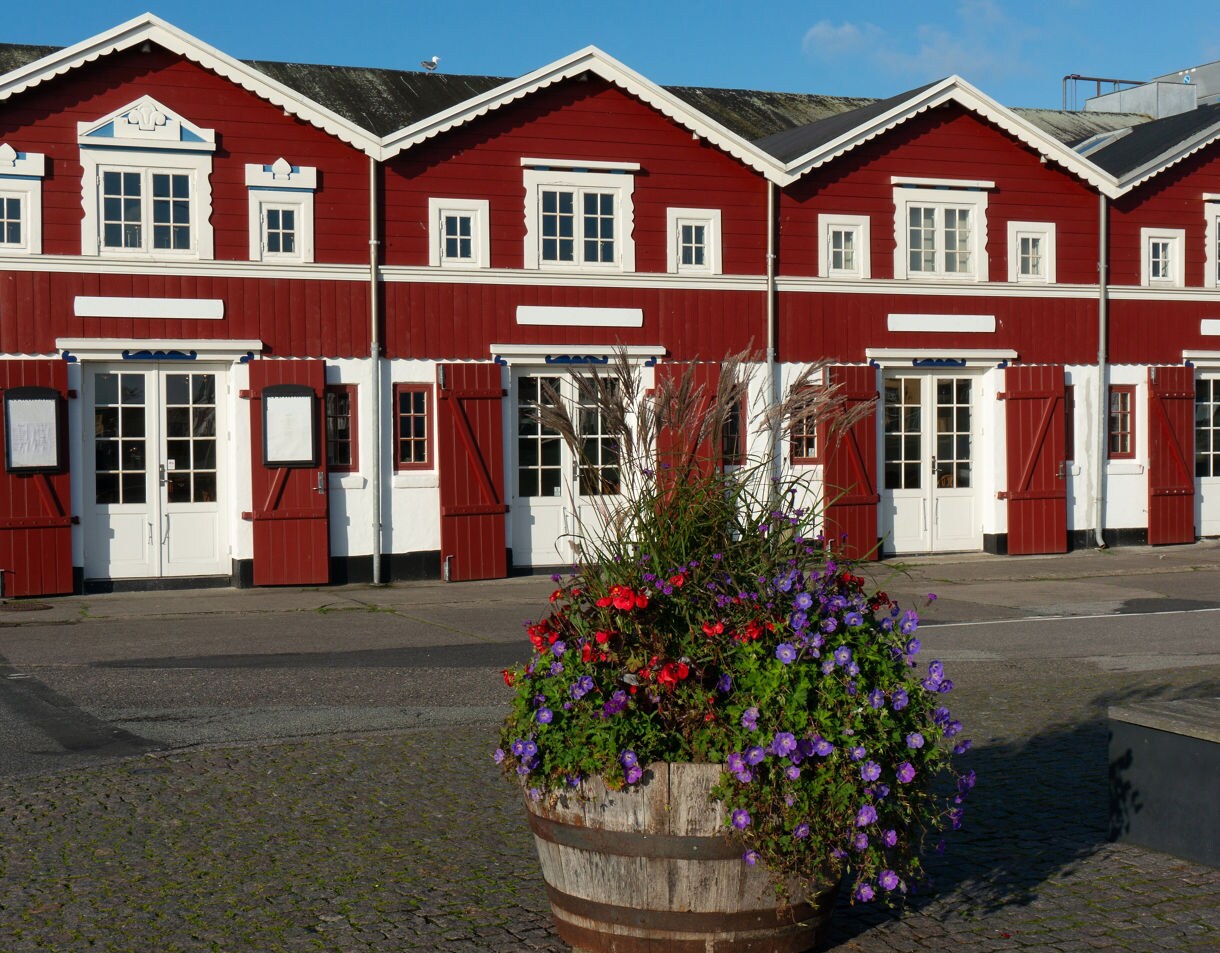 Row of traditional red wooden shops with white trim in Old Skagen, Denmark, with a large barrel of colorful flowers in the foreground.