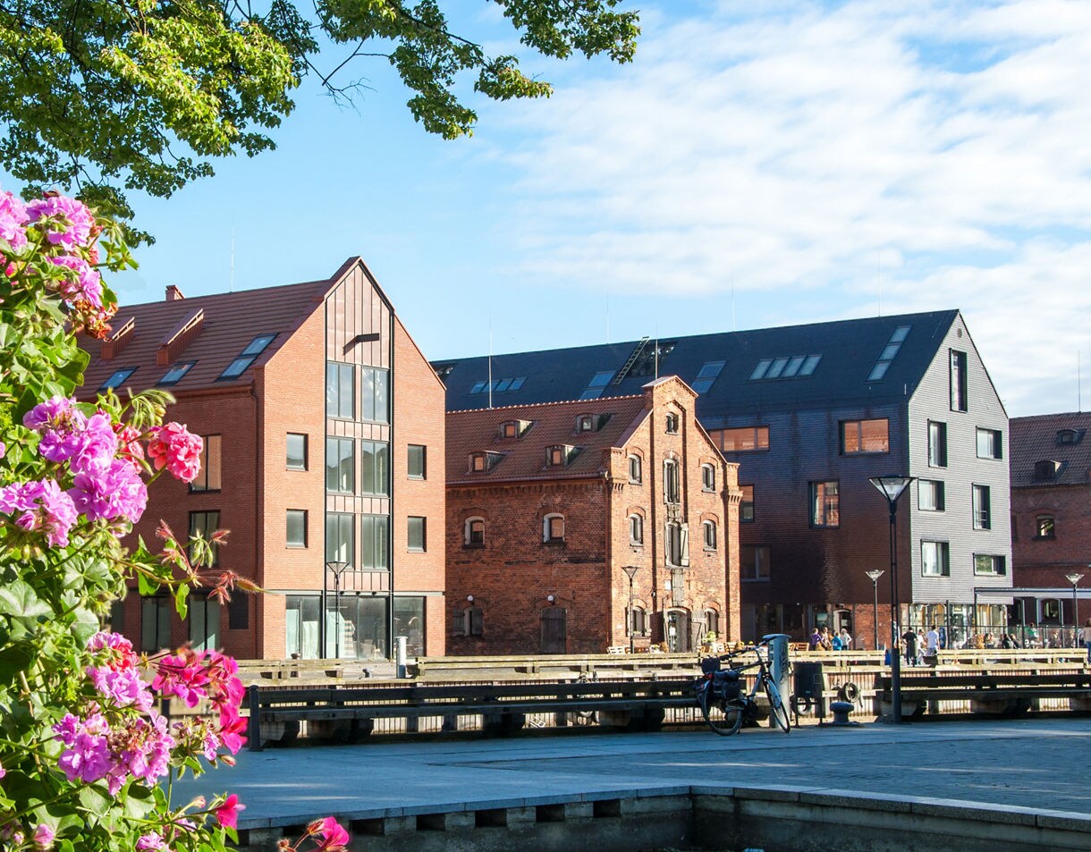 Pink flowers in the foreground with traditional red-brick and modern black buildings lining Klaipėda’s Old Town waterfront.