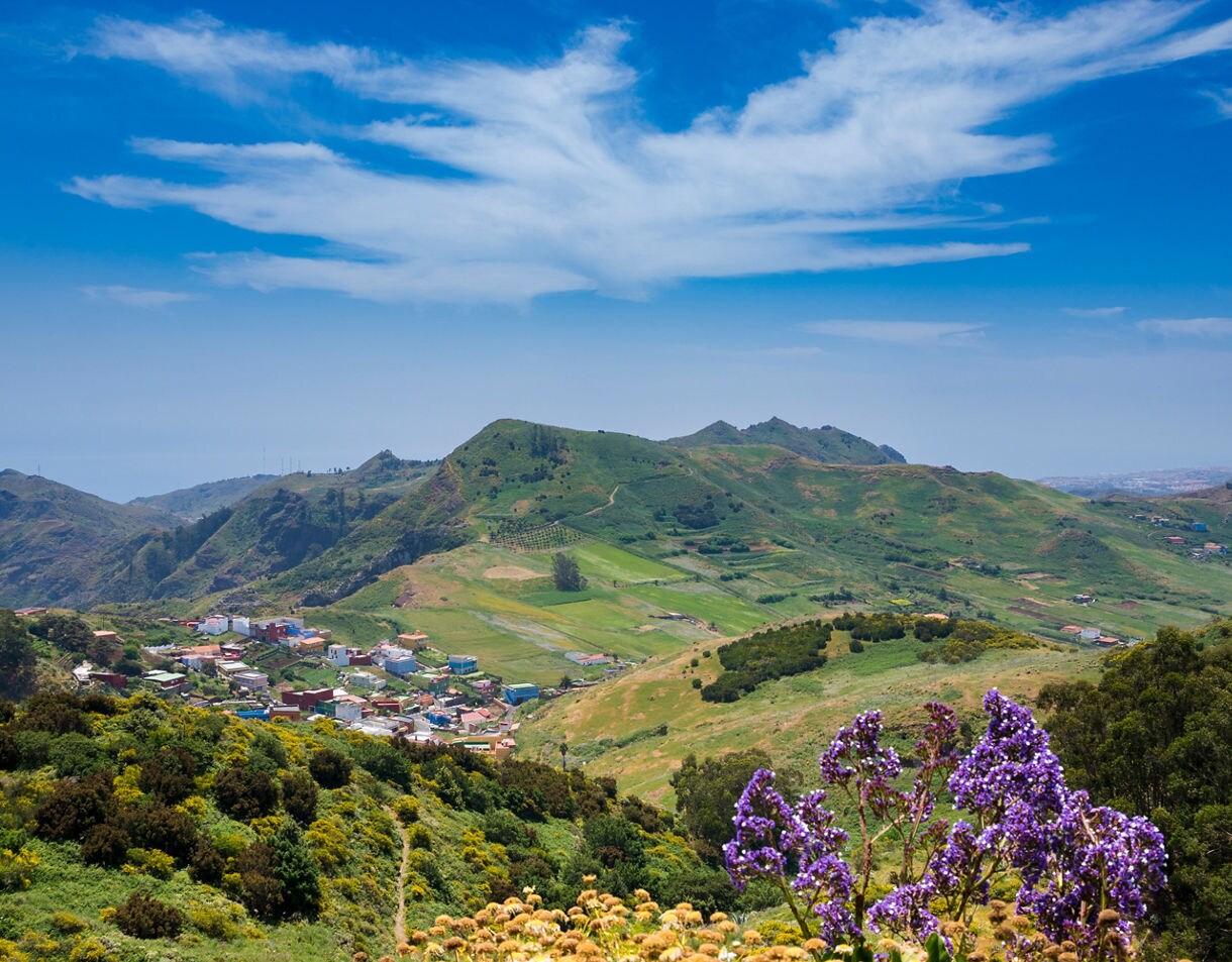 Scenic view of Orotava Valley in Tenerife with green hills, scattered villages,and purple wildflowers in the foreground under a bright blue sky.