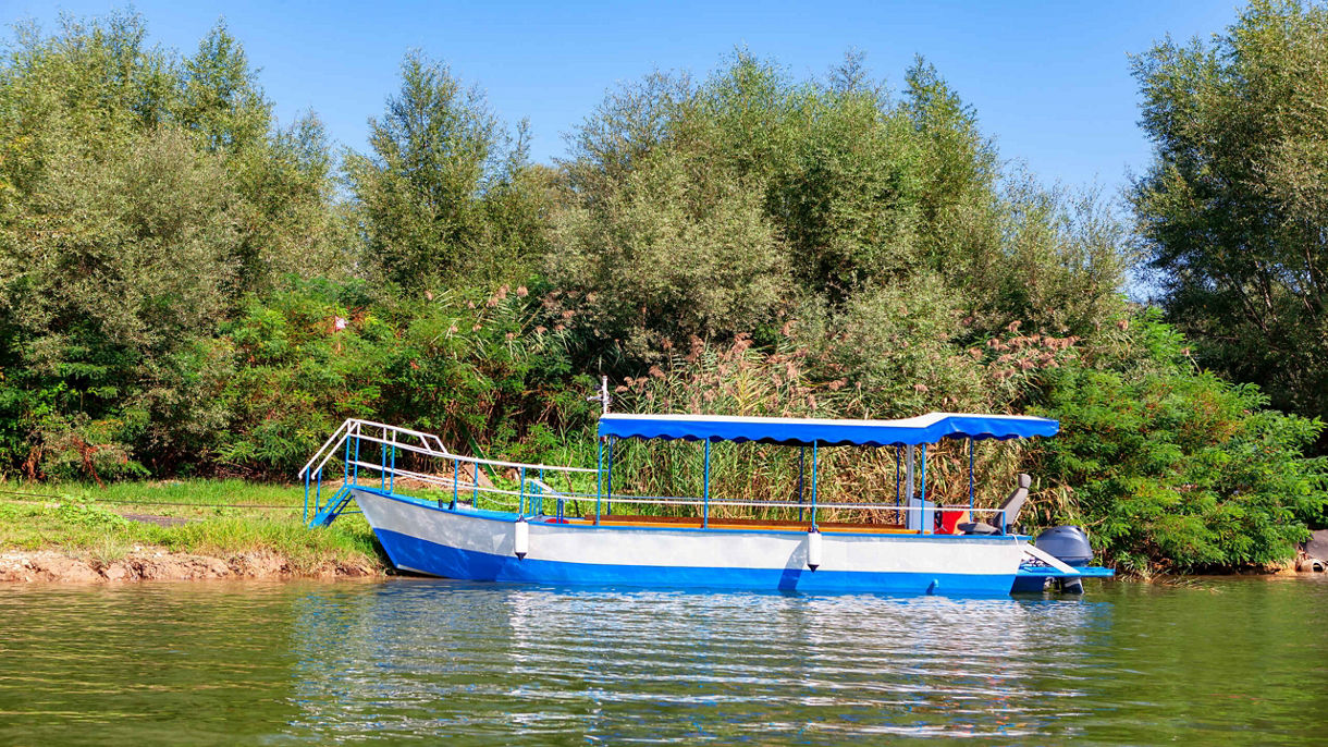 Best of Puntarenas: Aerial Tram, Tarcoles River & Lunch