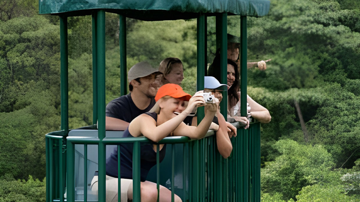 Best of Puntarenas: Aerial Tram, Tarcoles River & Lunch