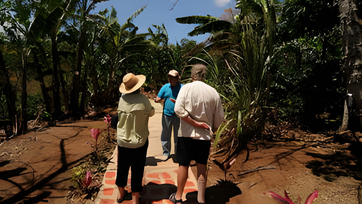 Costa Rica's Coffee Heritage & Sarchí Artisan Traditions