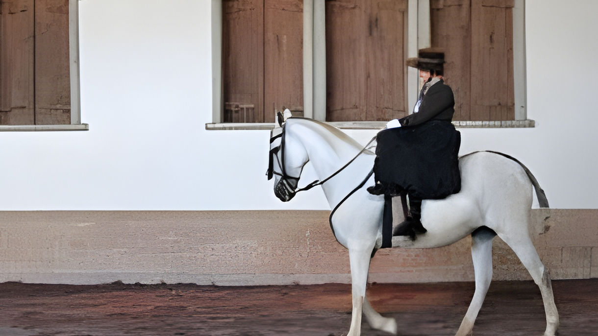 Andalusian Horse Show & Countryside