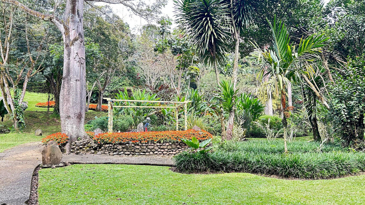 Botanical Garden, Oxcarts & Shopping
