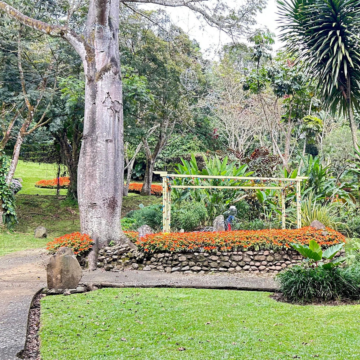 Botanical Garden, Oxcarts & Shopping