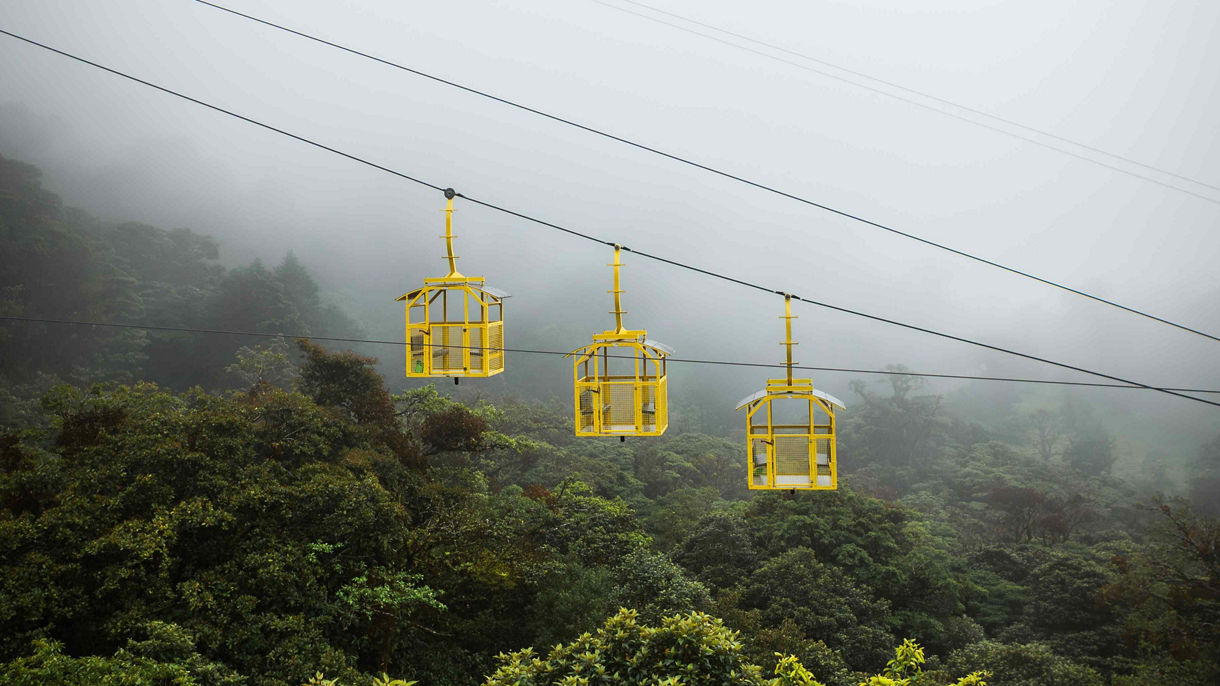Monteverde Aerial Tram & Hanging Bridges