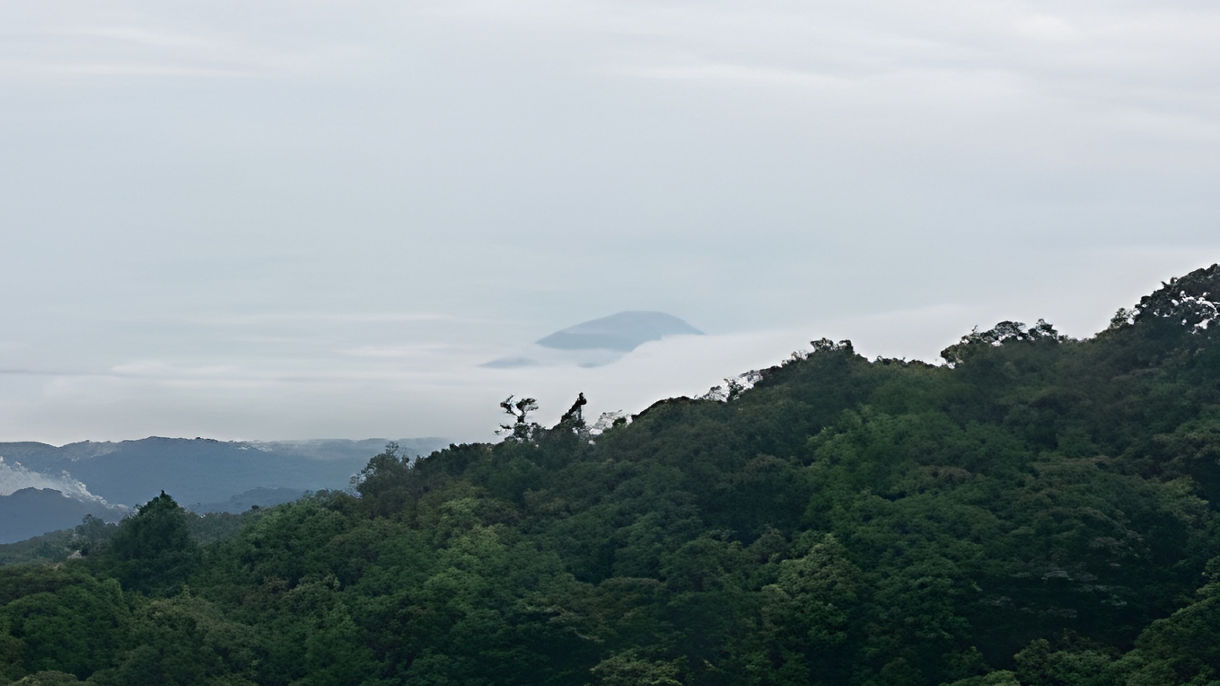A Walk in the Clouds