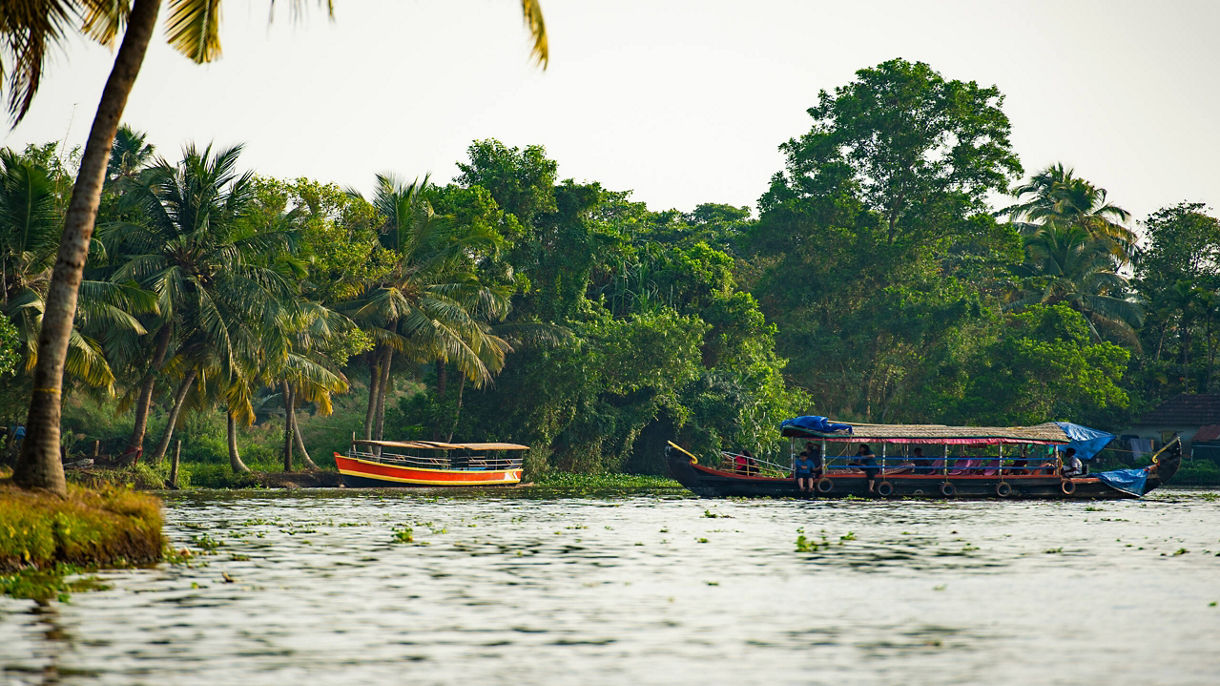 Eco-Jungle River Cruise & Butterfly Gardens
