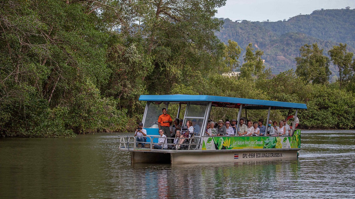 Tropical Crocodile Cruise and Cultural Experience
