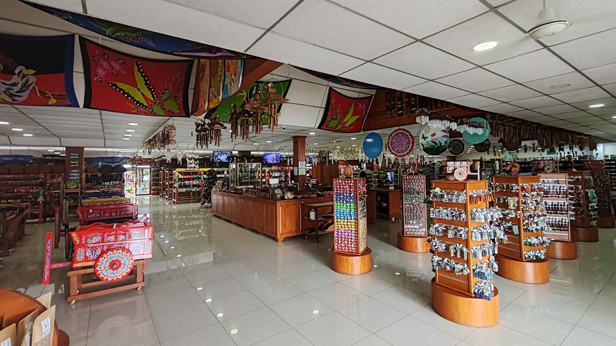 Tropical Crocodile Cruise and Cultural Experience