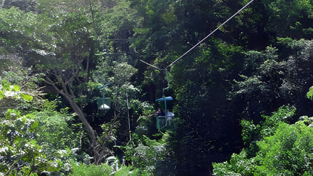 Panama's Rainforest Aerial Tram
