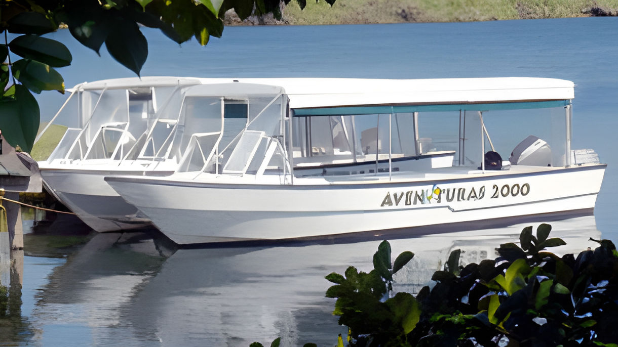 Monkey & Wildlife Nature Cruise on Gatun Lake