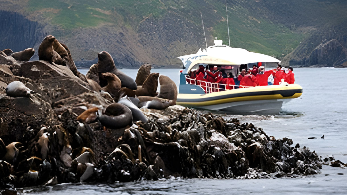 Tasman Peninsula Wilderness Cruise