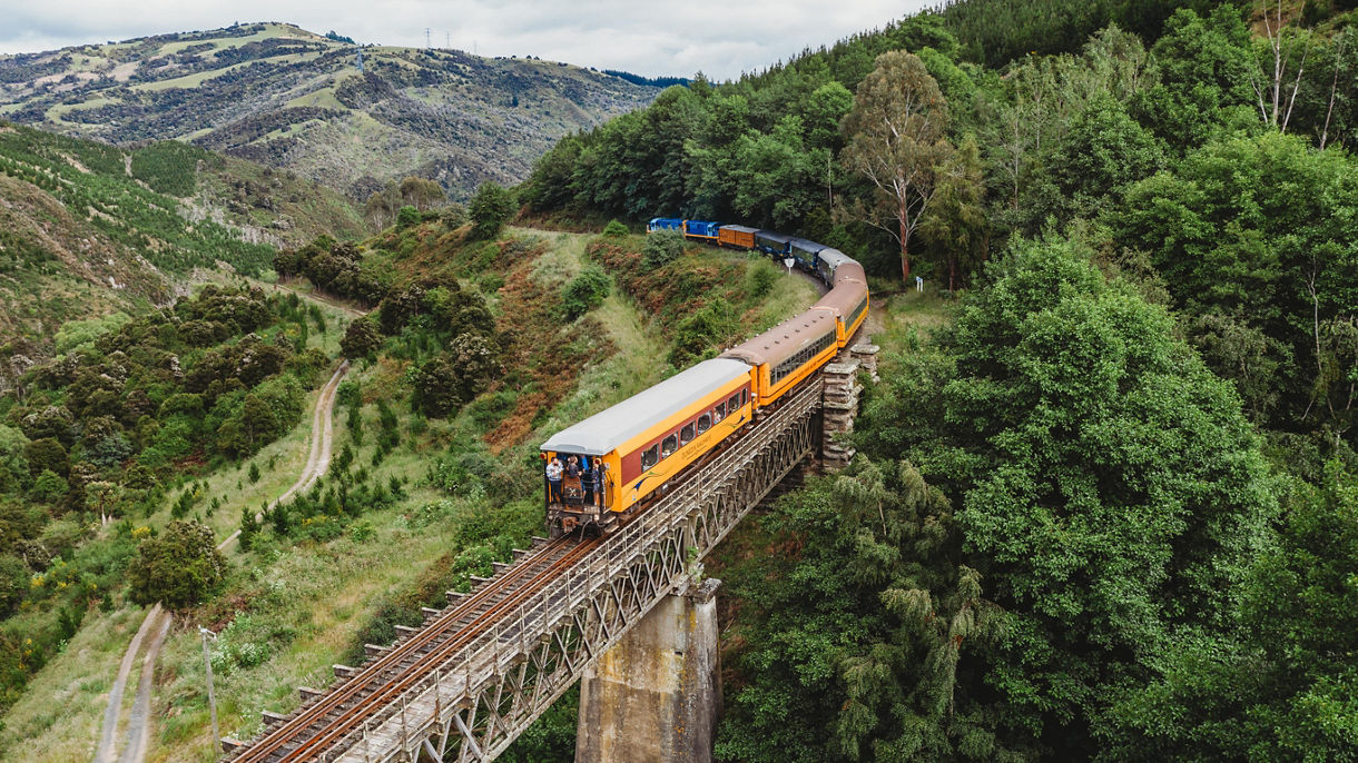 Best Of Dunedin: The Taieri Gorge Train Tour with Transfer