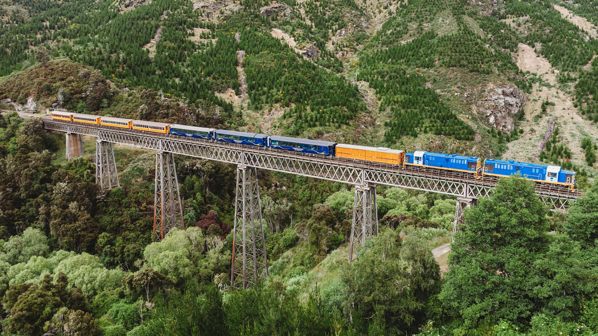 Best Of Dunedin: The Taieri Gorge Train Tour with Transfer