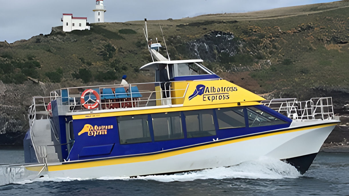 Ultimate Dunedin: Albatross Cruise & Natures Wonders