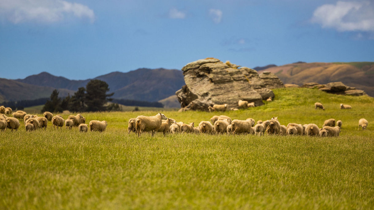 Heart of the High Country Farming