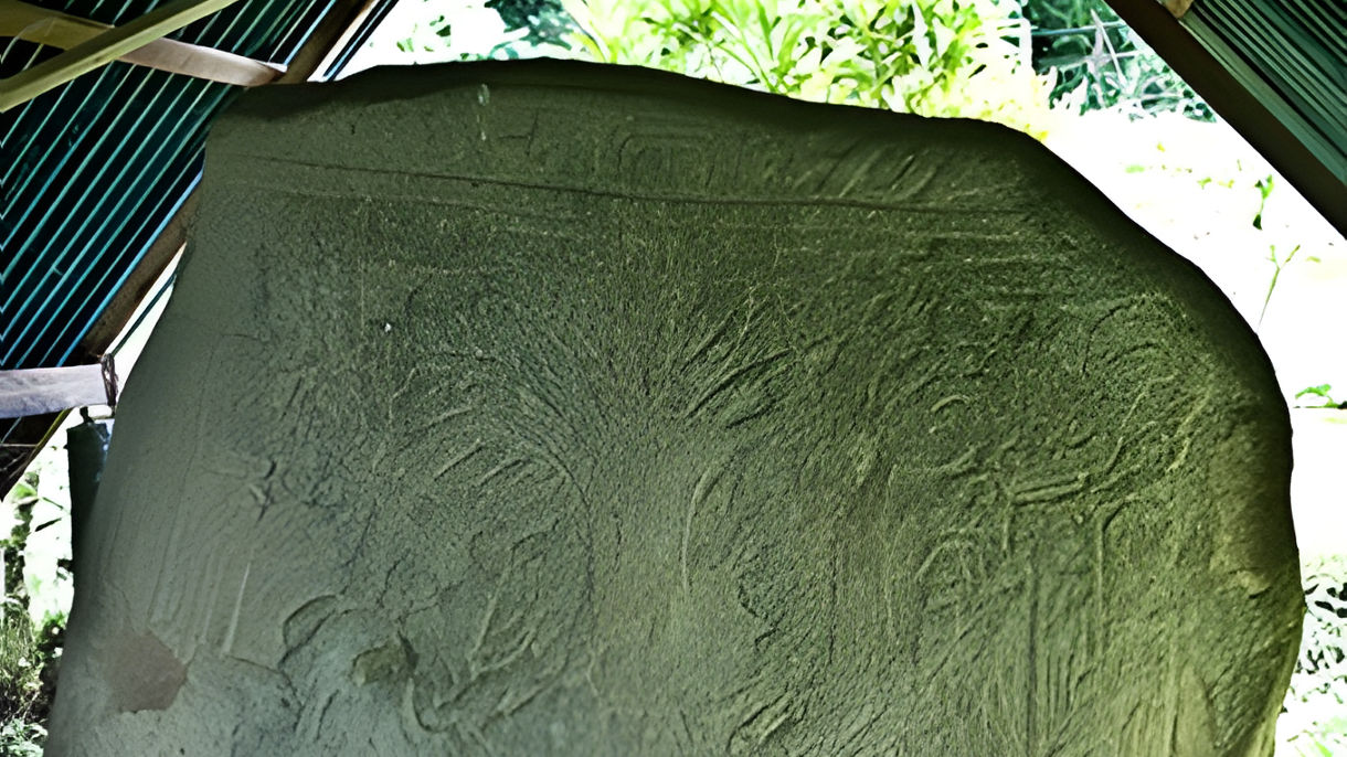 Maya Tree Of Life & Chocolate Discovery