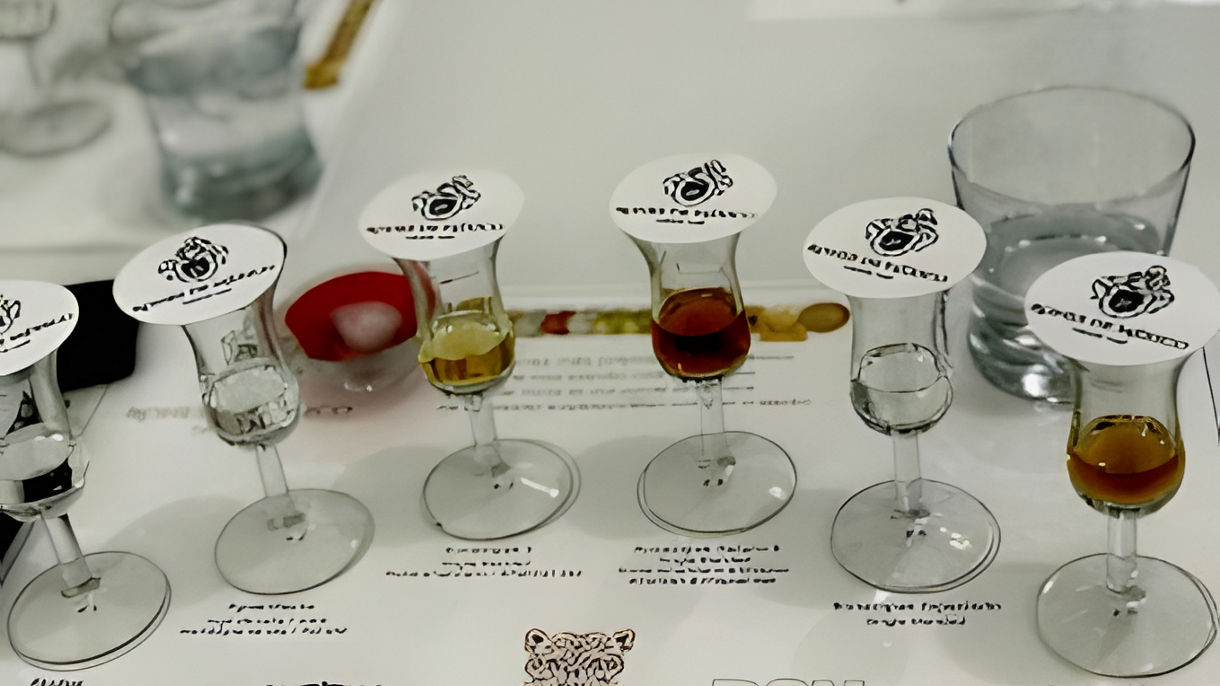 Tapachula City & Rum Tasting